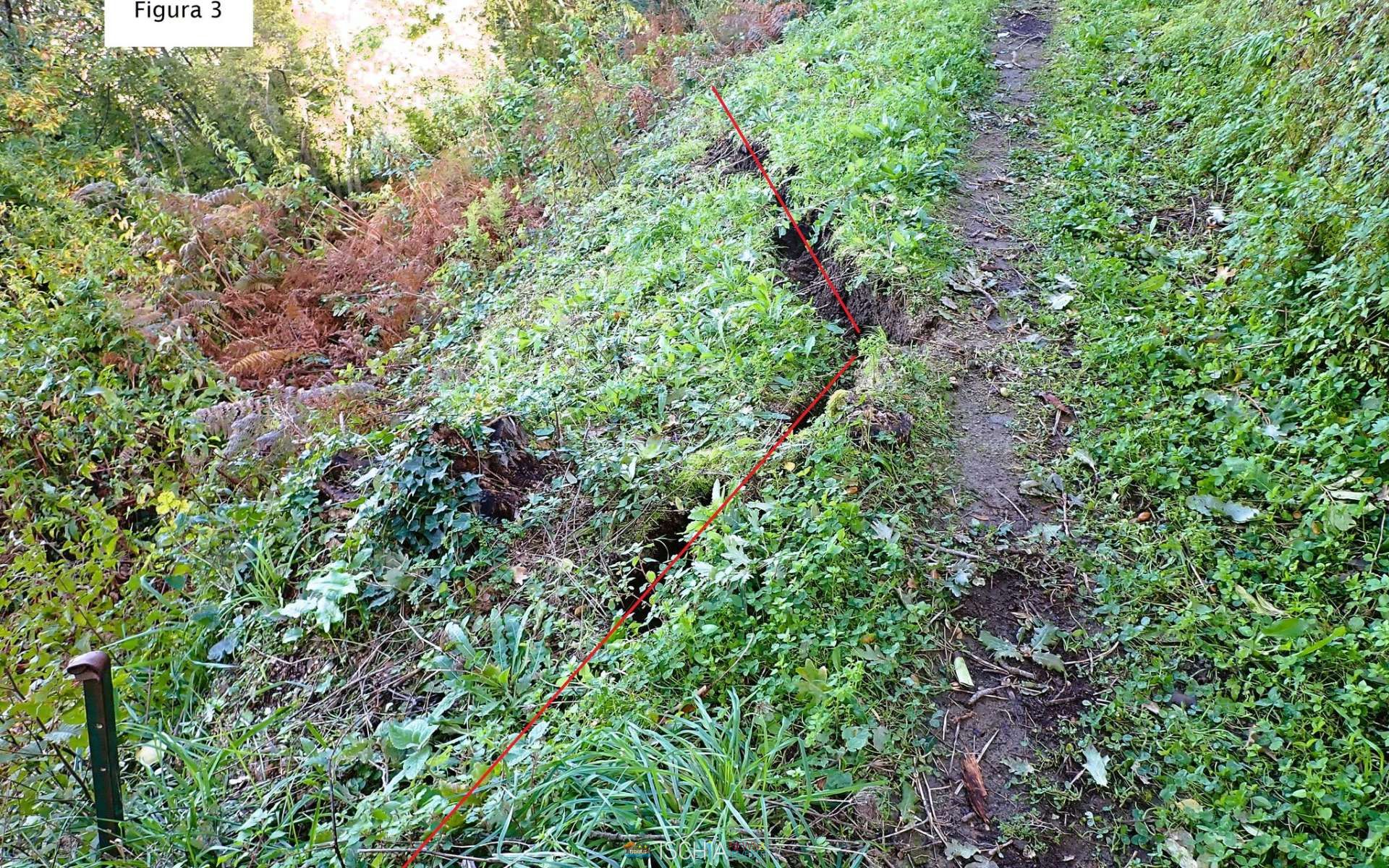 Ispezione costone franoso Casamicciola Geologo Aniello Di Iorio 3