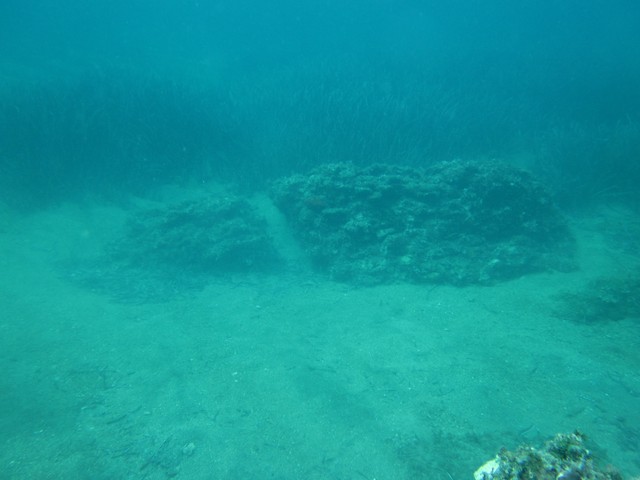 Sui fondali della Baia i resti dellAntica Aenaria Foto Marina di SantAnna