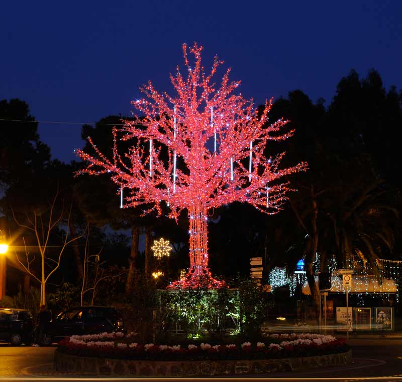 albero-natale-ischia-2009