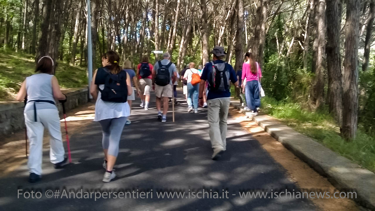 Andar per sentieri Bosco della Maddalena nel comune di Casamicciola Terme - isola d'Ischia