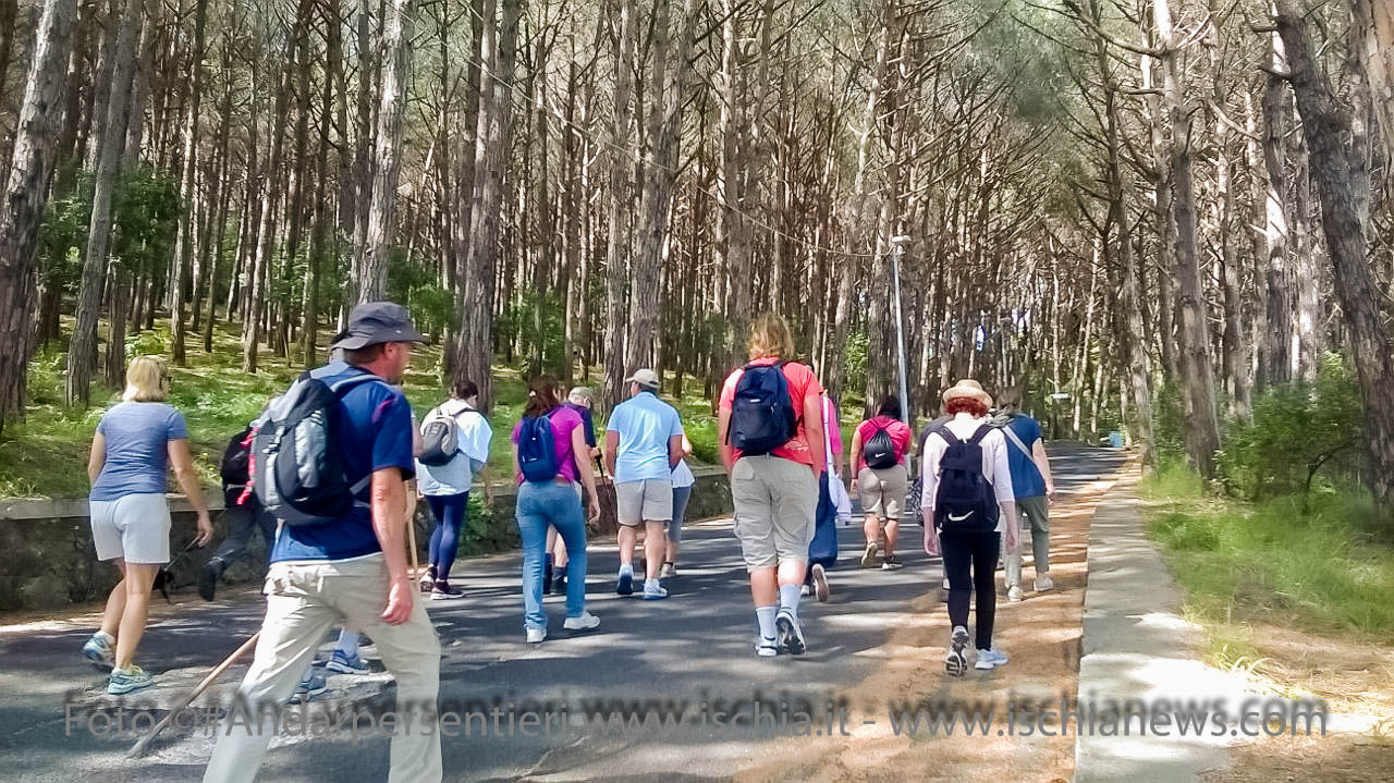 Andar per sentieri Bosco della Maddalena nel comune di Casamicciola Terme - isola d'Ischia