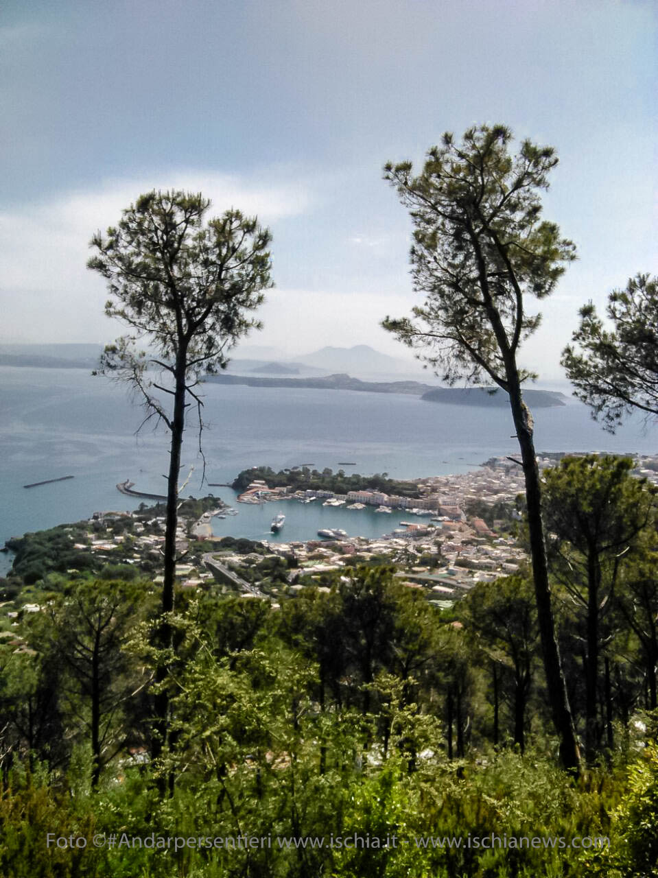 Andar per sentieri Bosco della Maddalena nel comune di Casamicciola Terme, vista sul porto di Ischia - isola d'Ischia