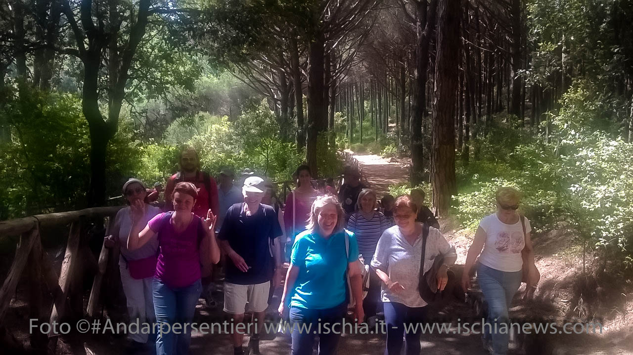 Andar per sentieri Bosco della Maddalena nel comune di Casamicciola Terme - isola d'Ischia