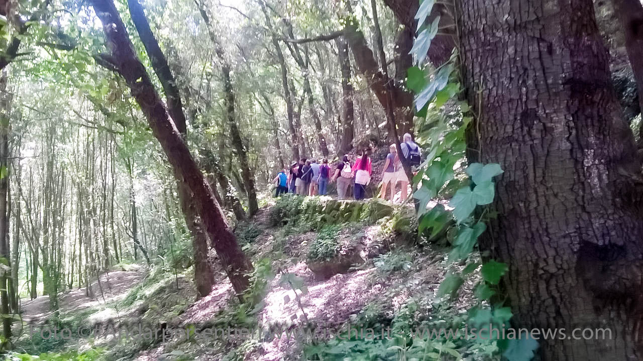 Andar per sentieri il Cratere del cretaio, nel comune di Casamicciola Terme - isola d'Ischia