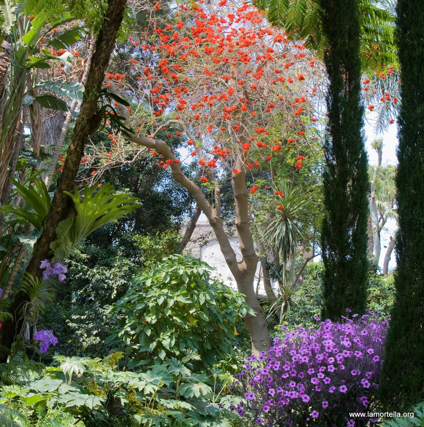 giardini-la-mortella