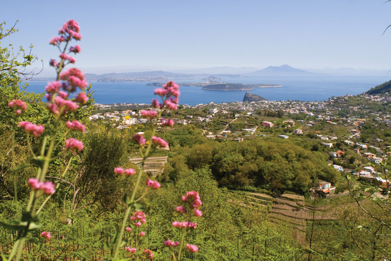 Tenuta del Cannavale