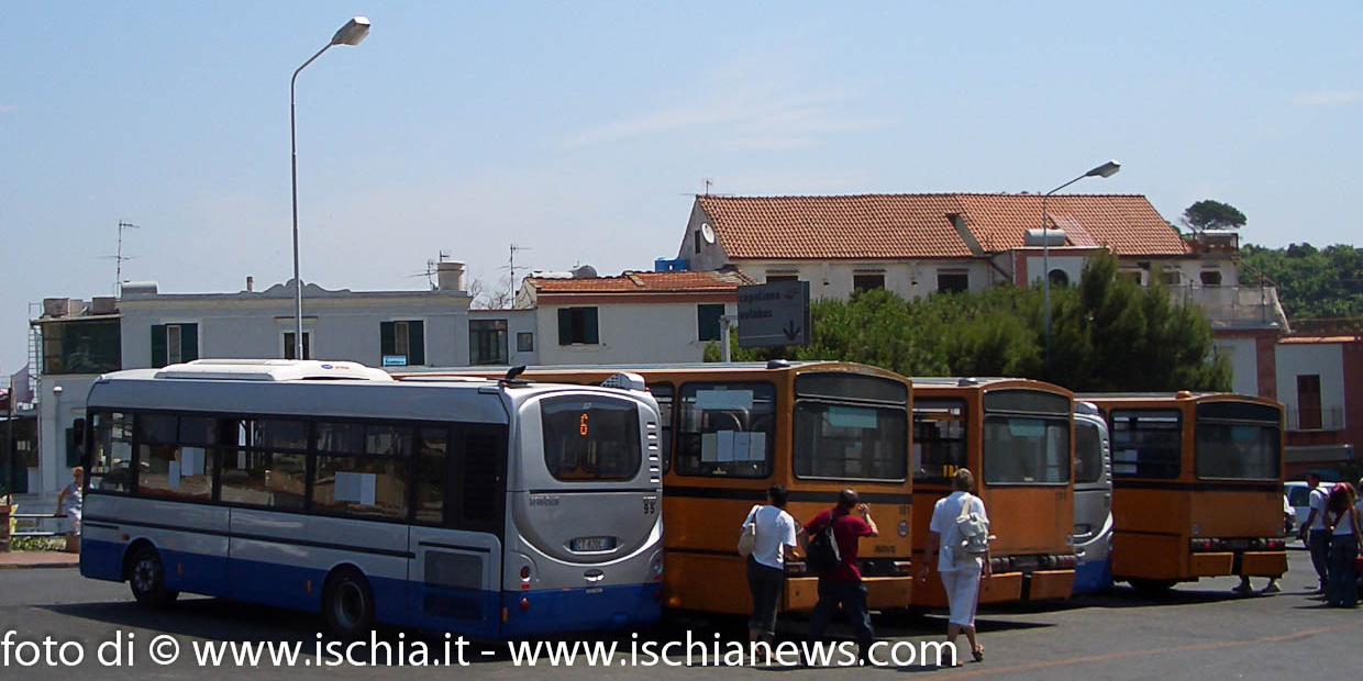 Orari autobus natale ad ischia